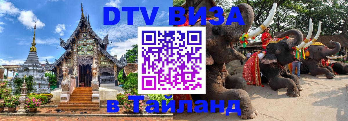 Оформление DTV визы под ключ: стоимость и тарифы, только загранпаспорт - 